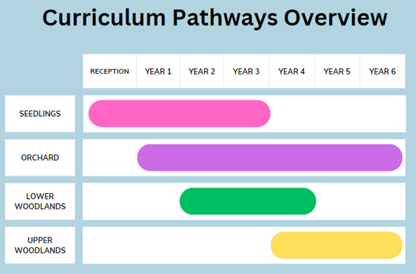 Curriculum Pathways Overview Curriculum Pathways Overview