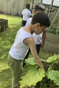 Sustainability1