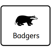 Badgers