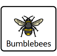 Bumblebees