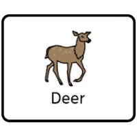 Deers Deers