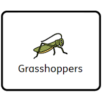 Grasshopper