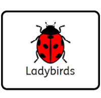 Ladybirds Ladybirds
