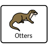 Otters Otters