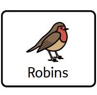 Robins