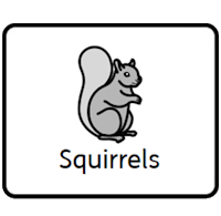 Squirrels Squirrels