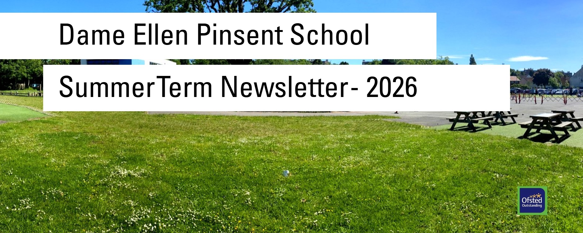 DameEllen Summer Newsletter